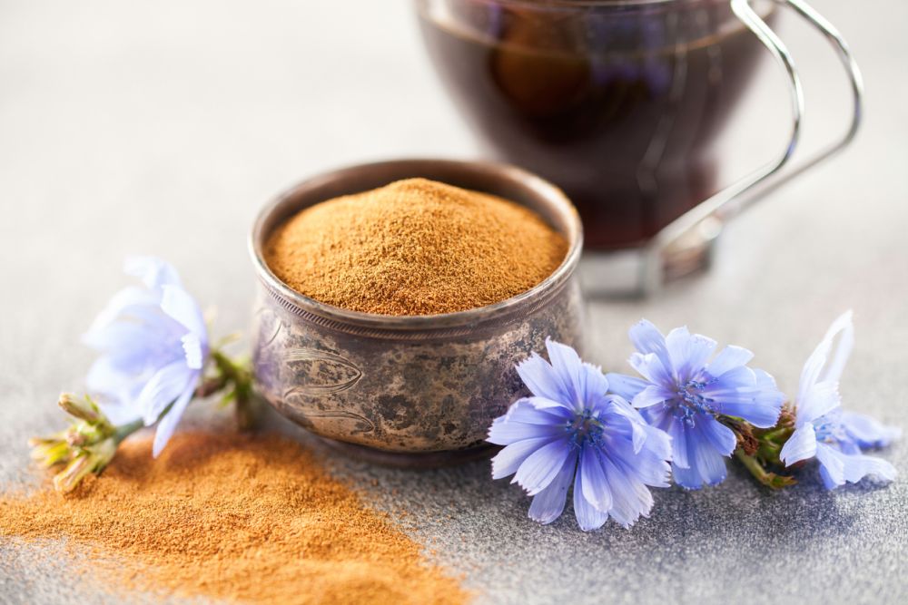 Coffee with Chicory Healthier Than Standard Coffee?