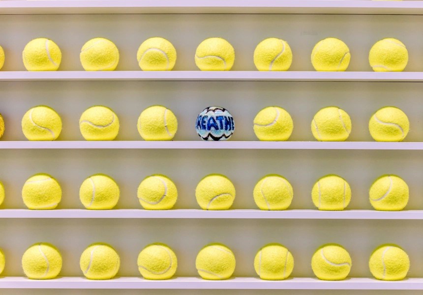Behind the Scenes of David Shrigley’s Tennis Ball Exchange for NGV