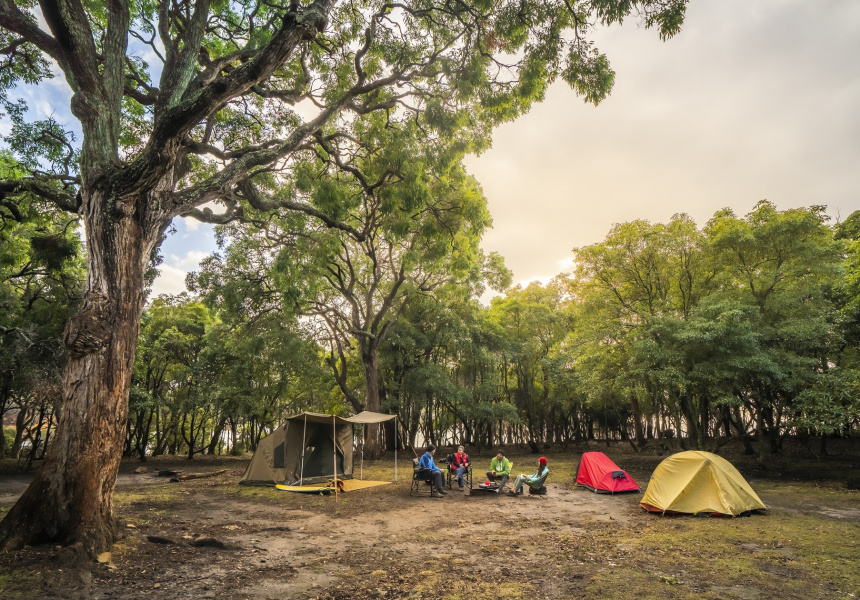 National Parks and Camp Sites in NSW Reopen Today, Just in Time For the Queen’s Birthday Long