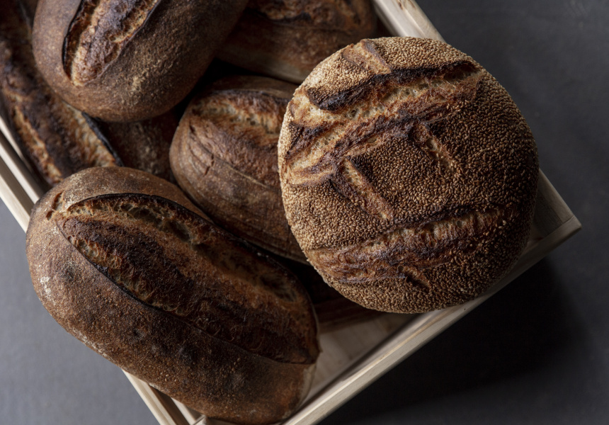 Dairy Flat Farm and Lodge Open Day