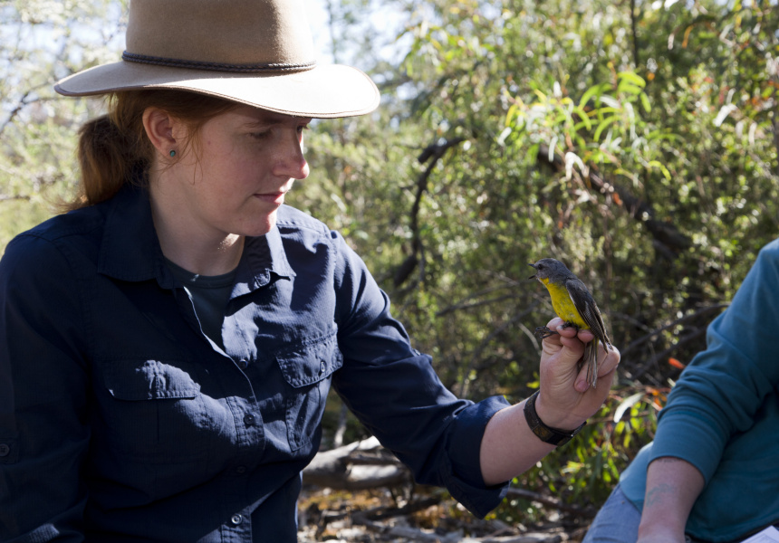 Meet the Experts Biodiversity Researcher Doctor Karen Rowe