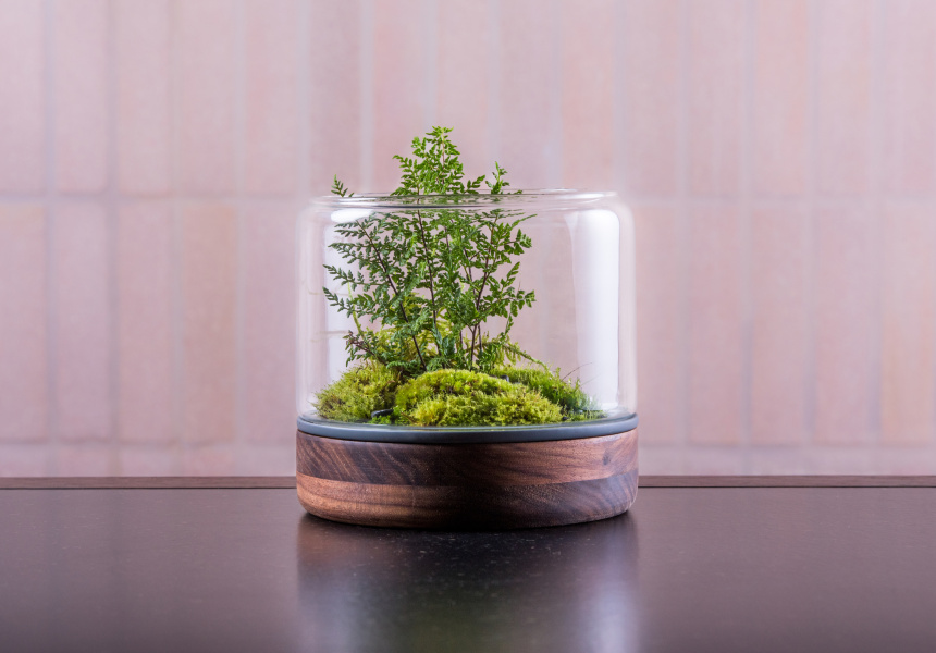 Mother’s Day Five Gifts Under 50