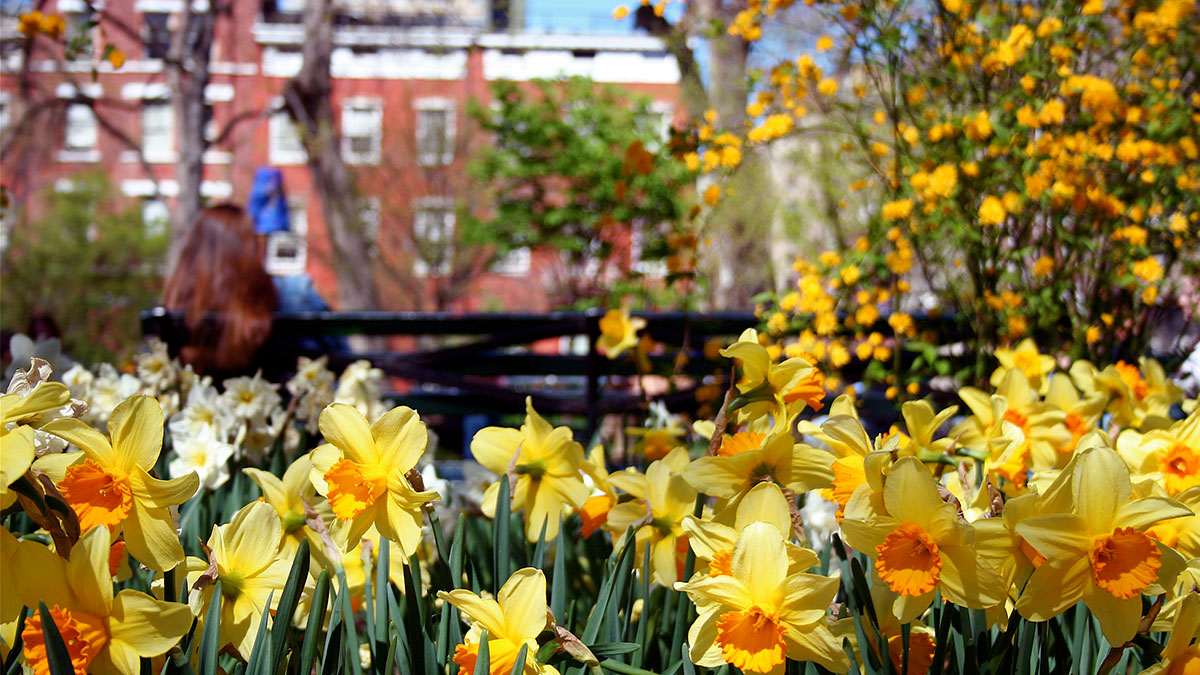 Spring Break 2023 Nyc Things To Do