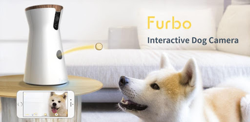 FurboTreat Tossing Dog Camera for PC Free Download & Install on
