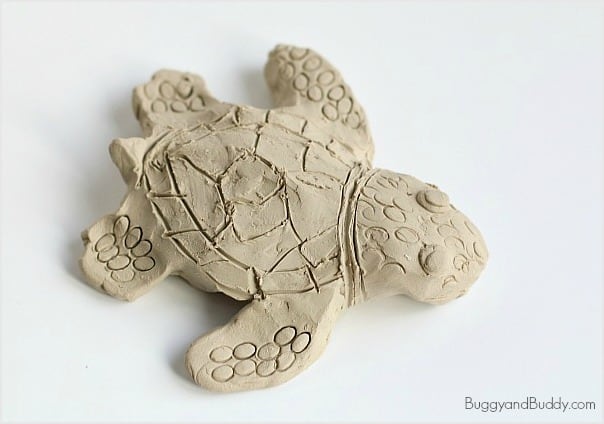 Clay Sea Turtle Art Activity for Kids Buggy and Buddy