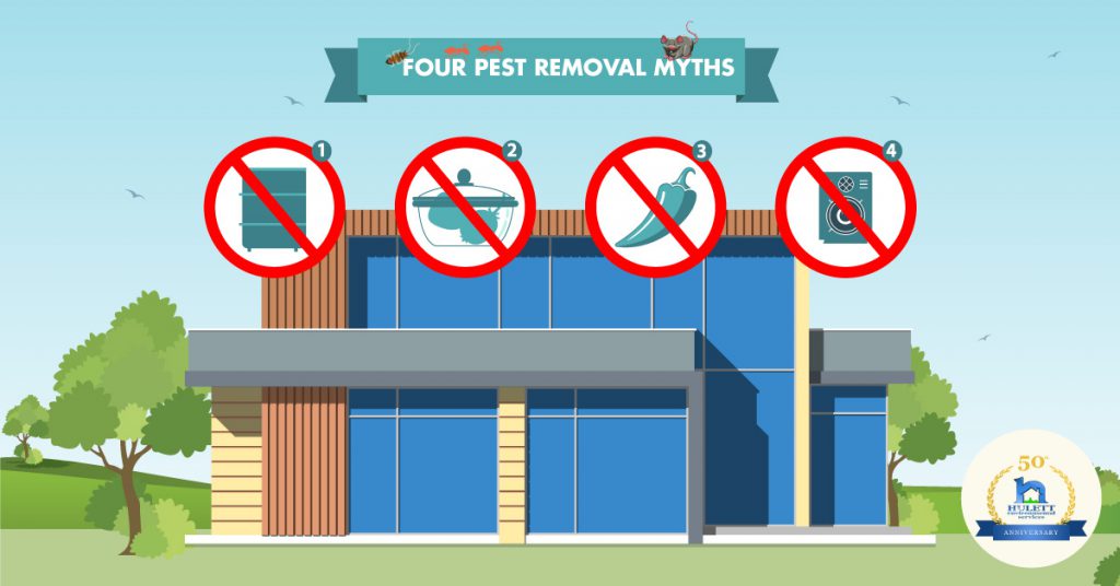 Pest Control Myths Hulett Environmental Services