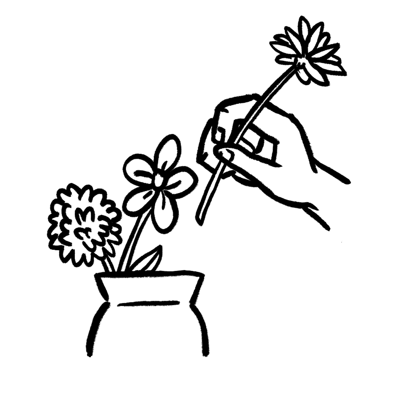 Flower Subscriptions Freddie's Flowers