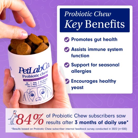 Dog Itchy Skin Bundle Probiotic & Itch Relief Pro Supplements