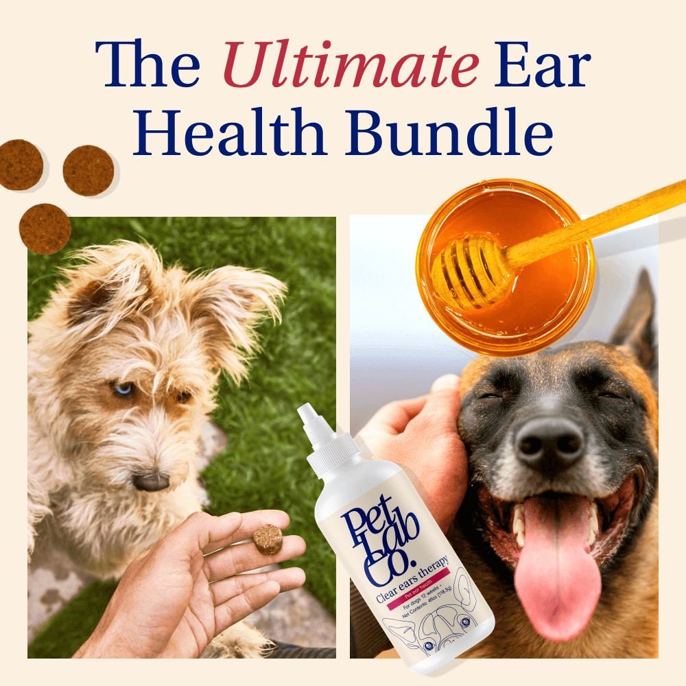 Dog Ear Yeast Bundle For Itchy Skin & Head Shaking PetLab Co.