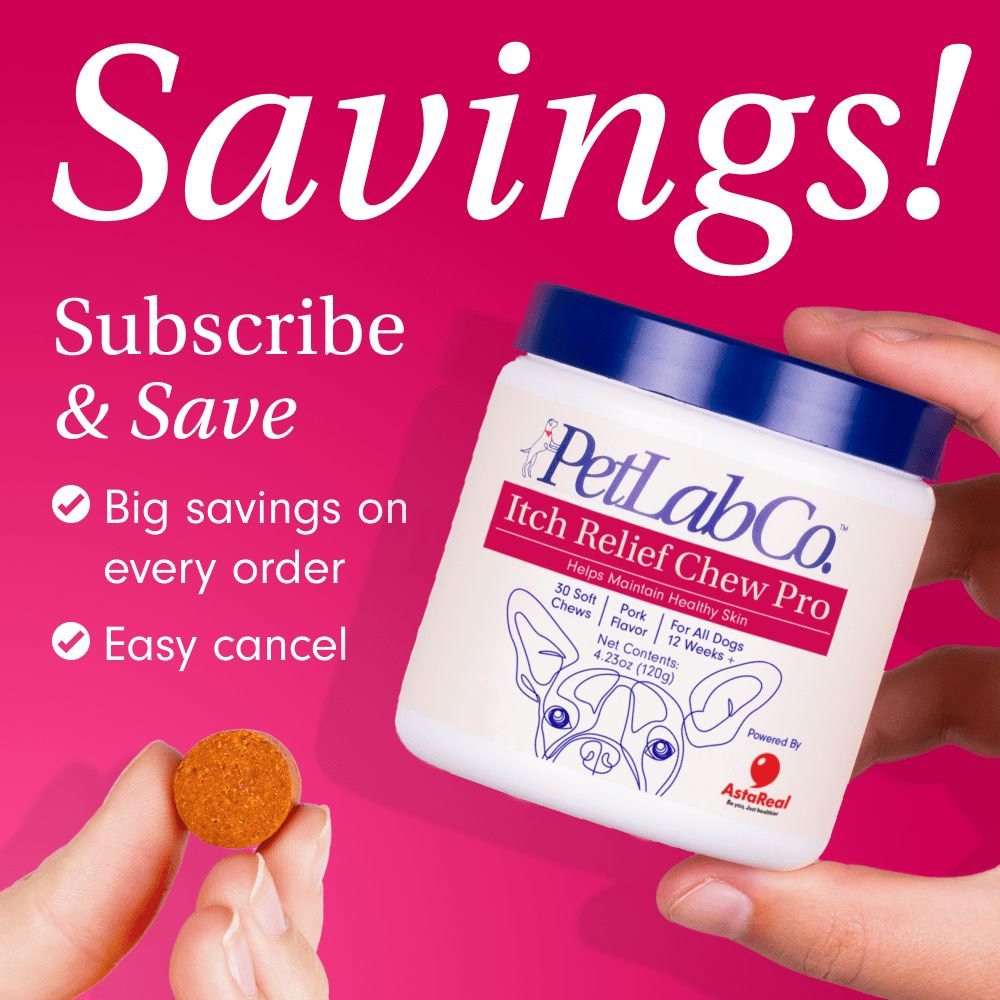 Dog Itch Relief Chew Pro Supports Skin Health PetLab Co.