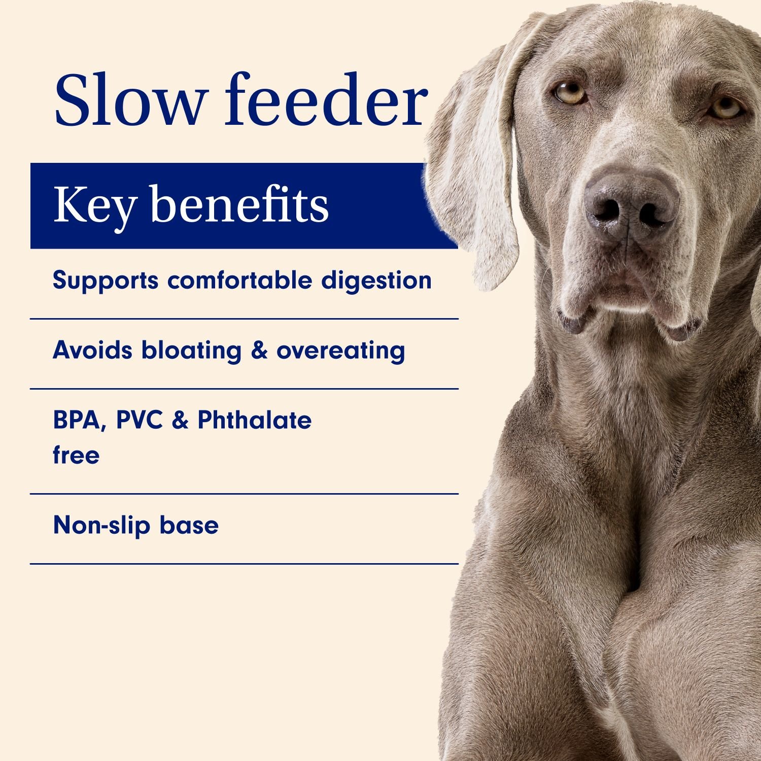 Slow Feeder Dog Bowl Aid Digestion & Reduce Bloating PetLab Co.