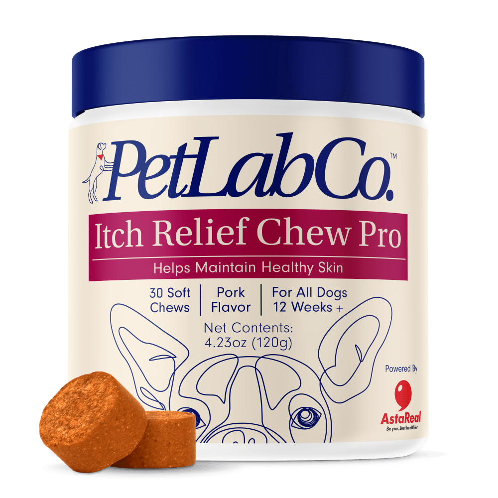 Dog Itch Relief Chew Pro Supports Skin Health PetLab Co.