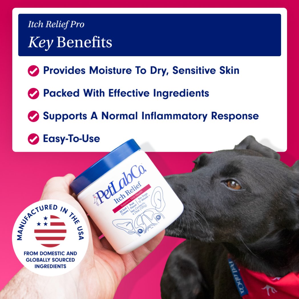 Dog Itchy Skin Bundle Probiotic & Itch Relief Pro Supplements