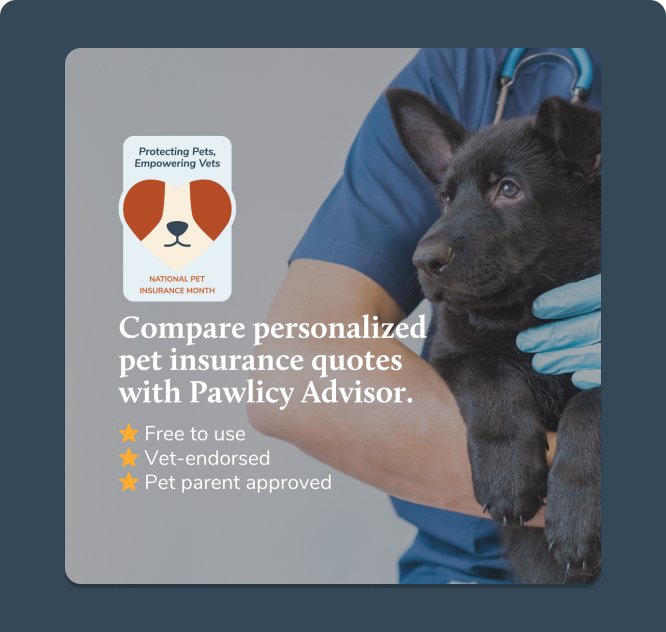 National Pet Insurance Month Pawlicy Advisor