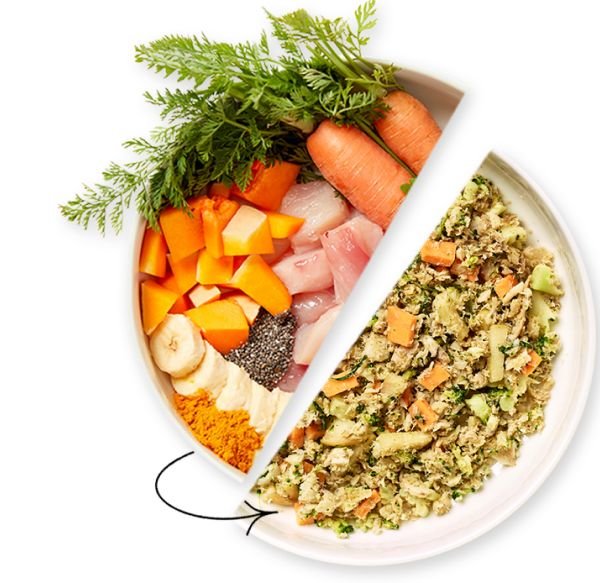 Different Dog Fresh Dog Food Delivery Subscription UK Different Dog