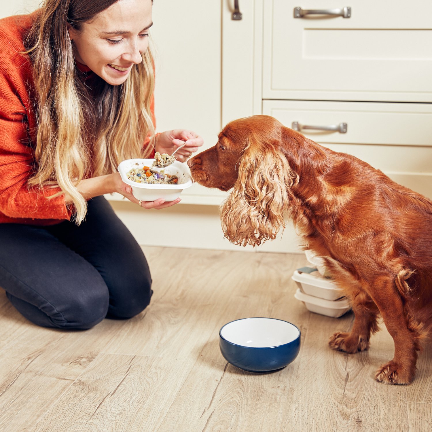How much should you feed a dog and how often? Different Dog