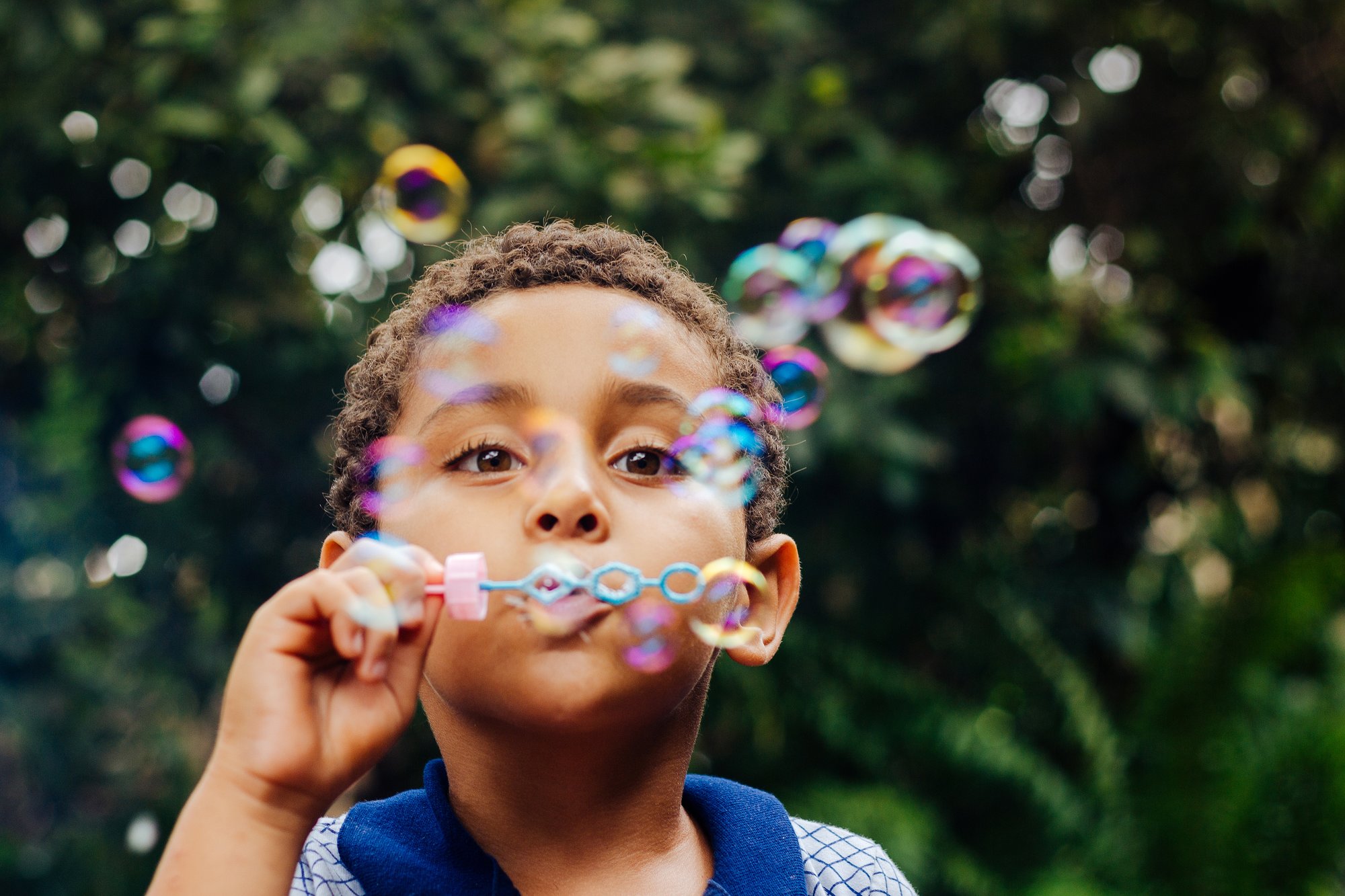 Home Strategies Bubbles Momentous Institute