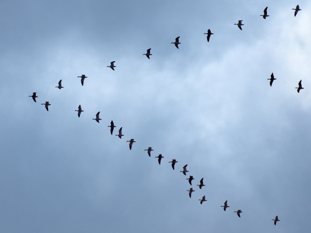 The Future Of Social What Does It Take To Lead In A Digitally