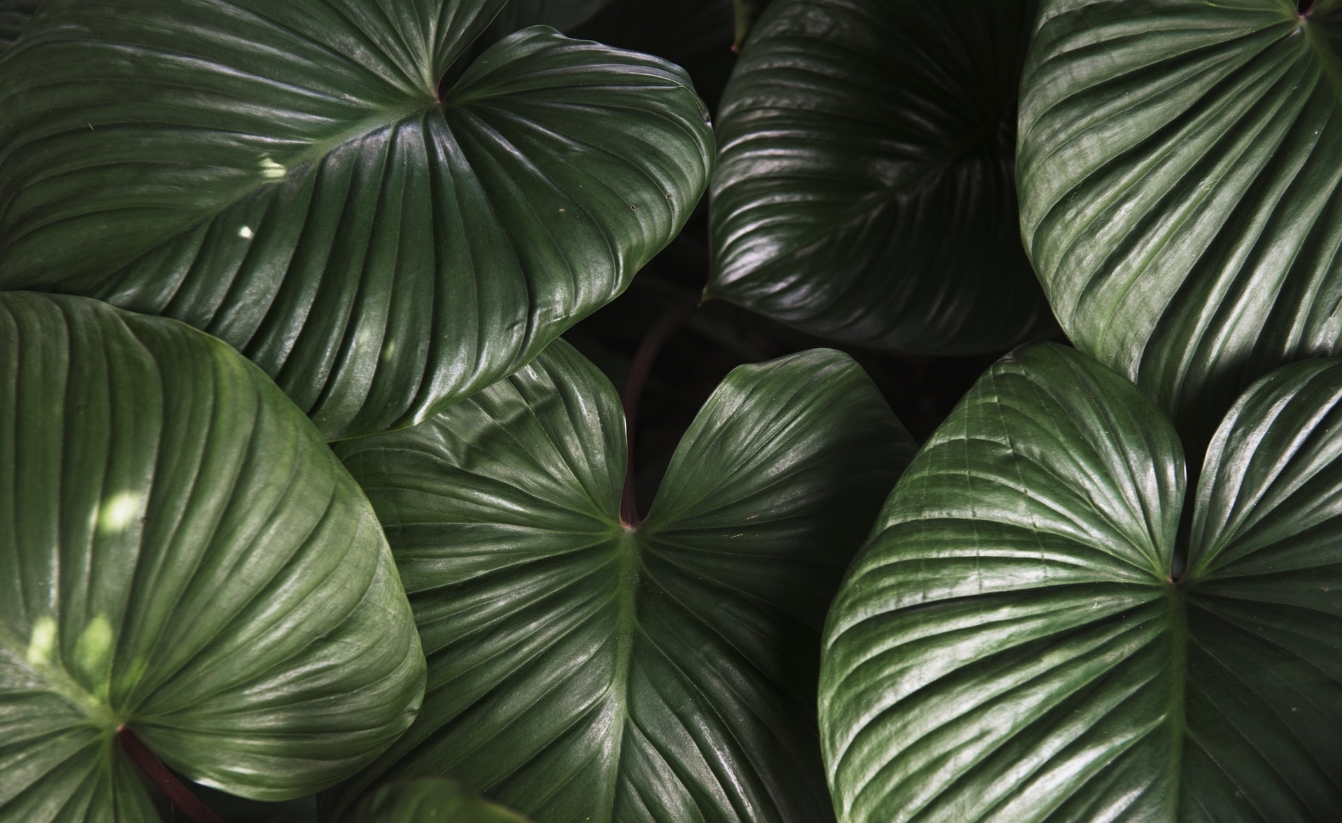 How Long Does Inbound Marketing Take? Business 2 Community