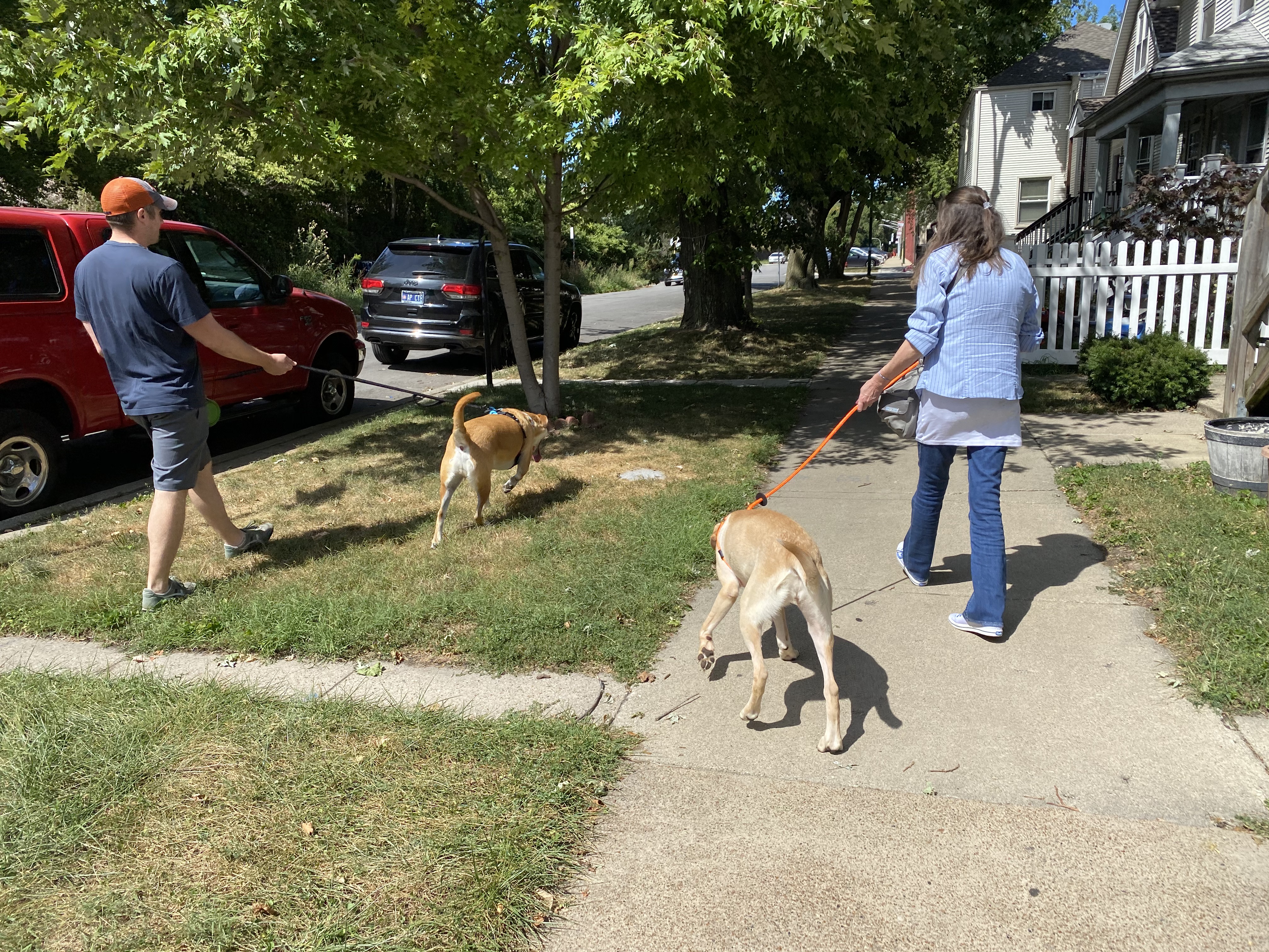 How New Customers Can Be Like Getting A New Puppy Business 2 Community