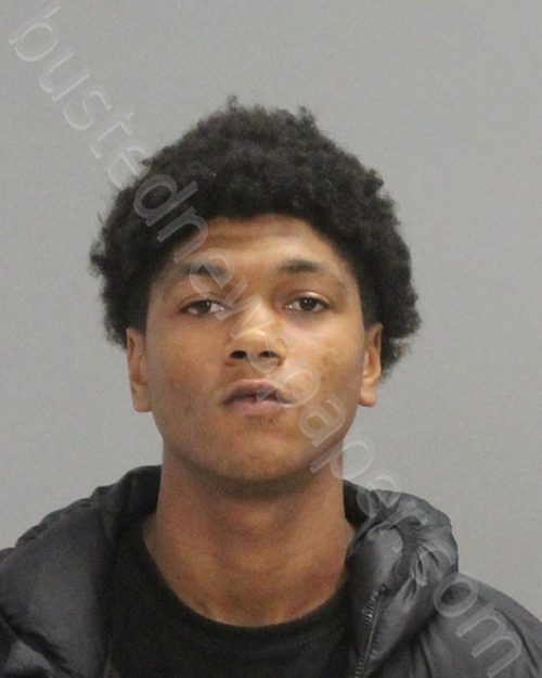 Preston, Dylan James Mugshot 20221024 Brazos County, Texas Arrest