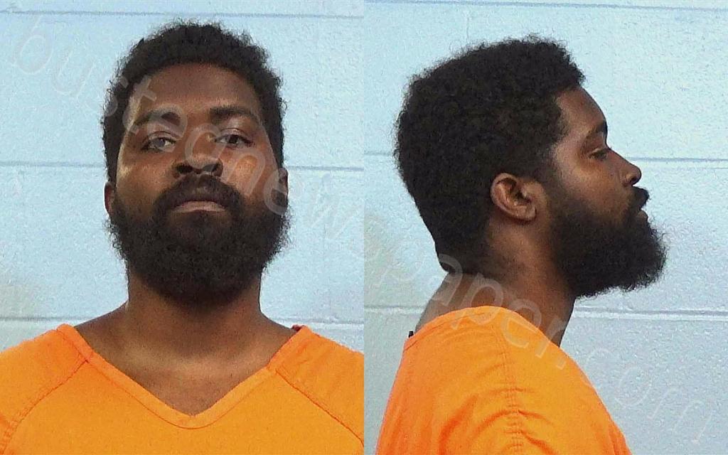 Templin, Robert Alexander 20241030 Williamson County, Texas Booking