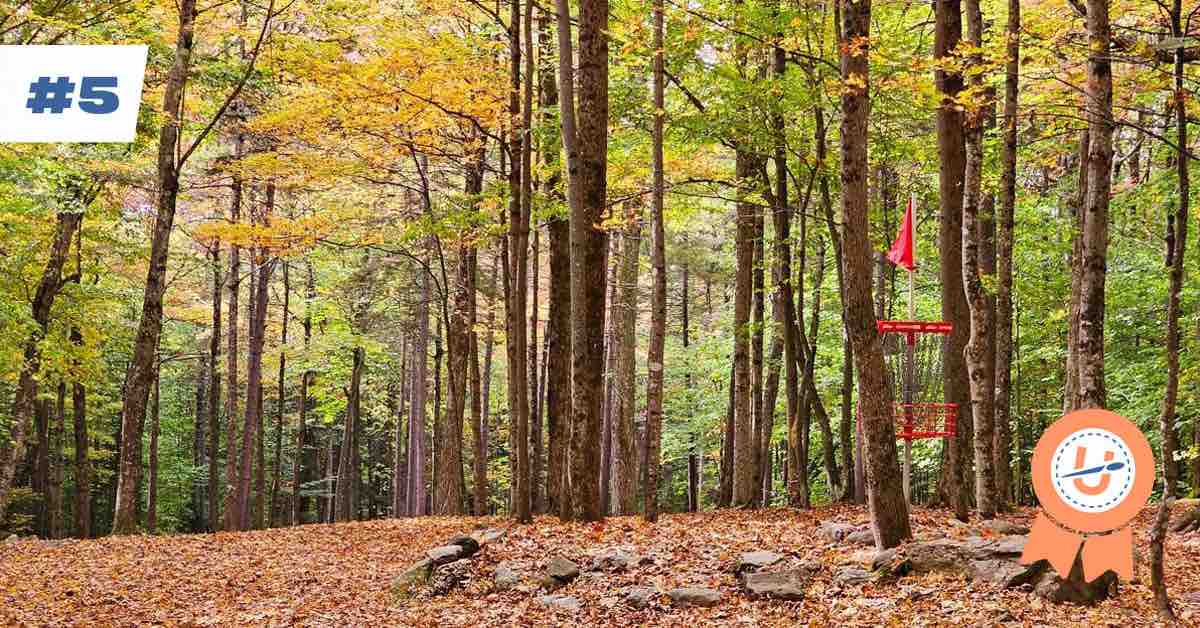 World's Best Disc Golf Courses 5 Brewster Ridge Disc Golf Course