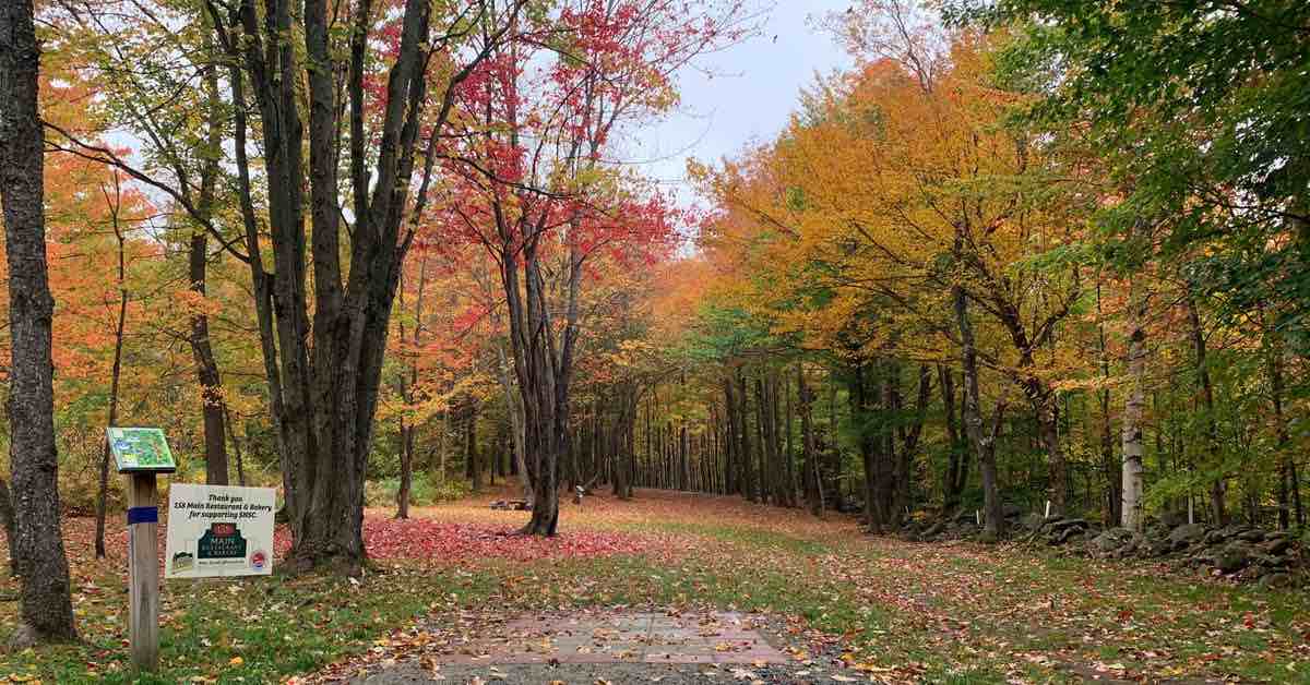 The 5 Best Disc Golf Courses In Each U.S. State 2022 Release Point