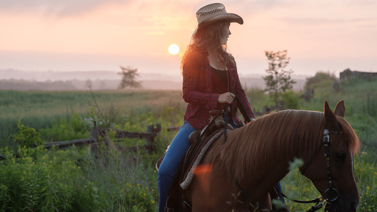 Where To Go Horseback Riding In San Antonio Realty San Antonio