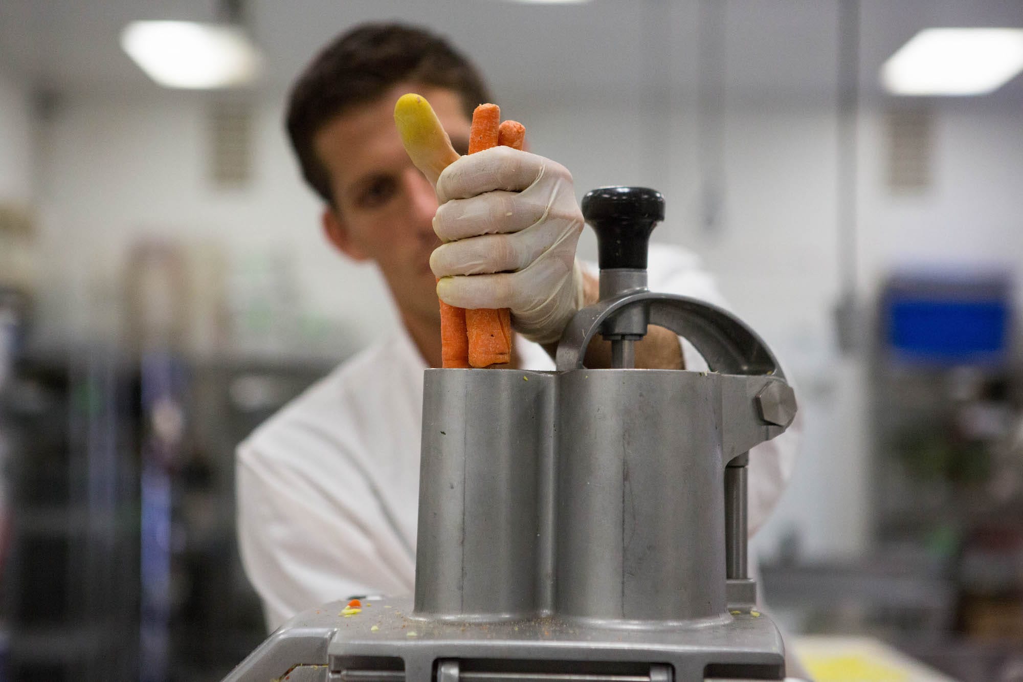 The benefits of fresh dog food