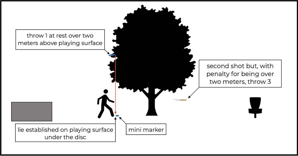 Disc Golf Rules Explained The TwoMeter Rule Release Point The UDisc Blog