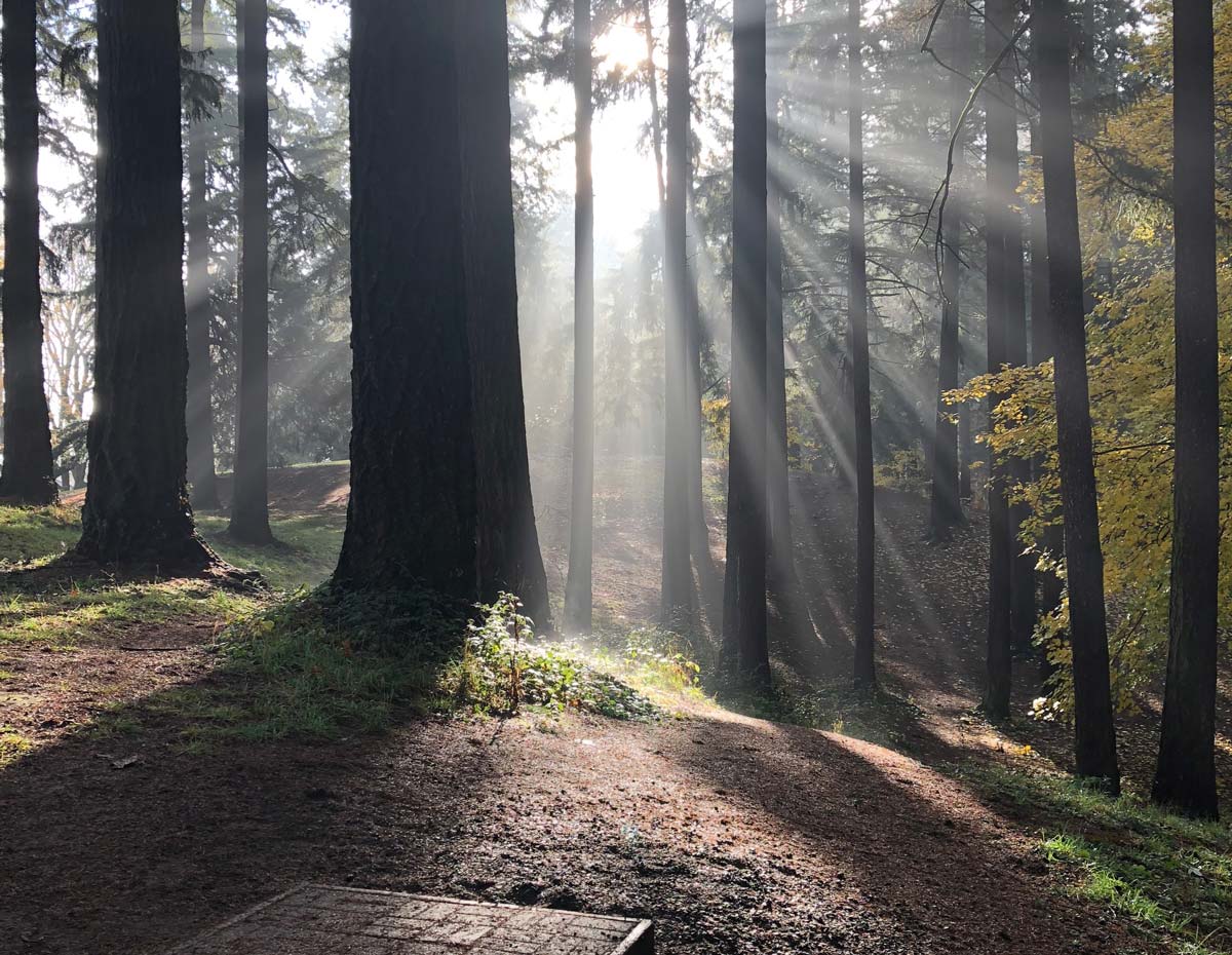 Top Disc Golf Cities—USA Portland, Oregon Release Point The UDisc Blog