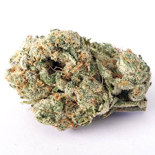 Animal Cookies Strain Profile MAMA'S GANJA