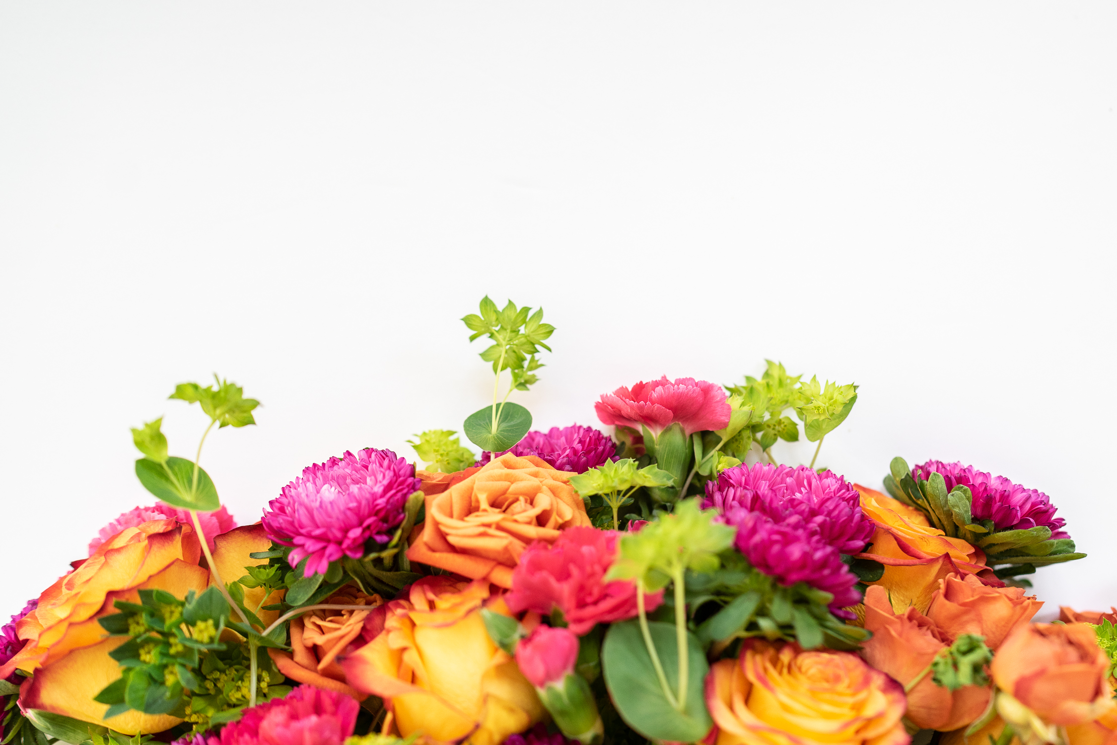 5 Best Flower Shows in the USA