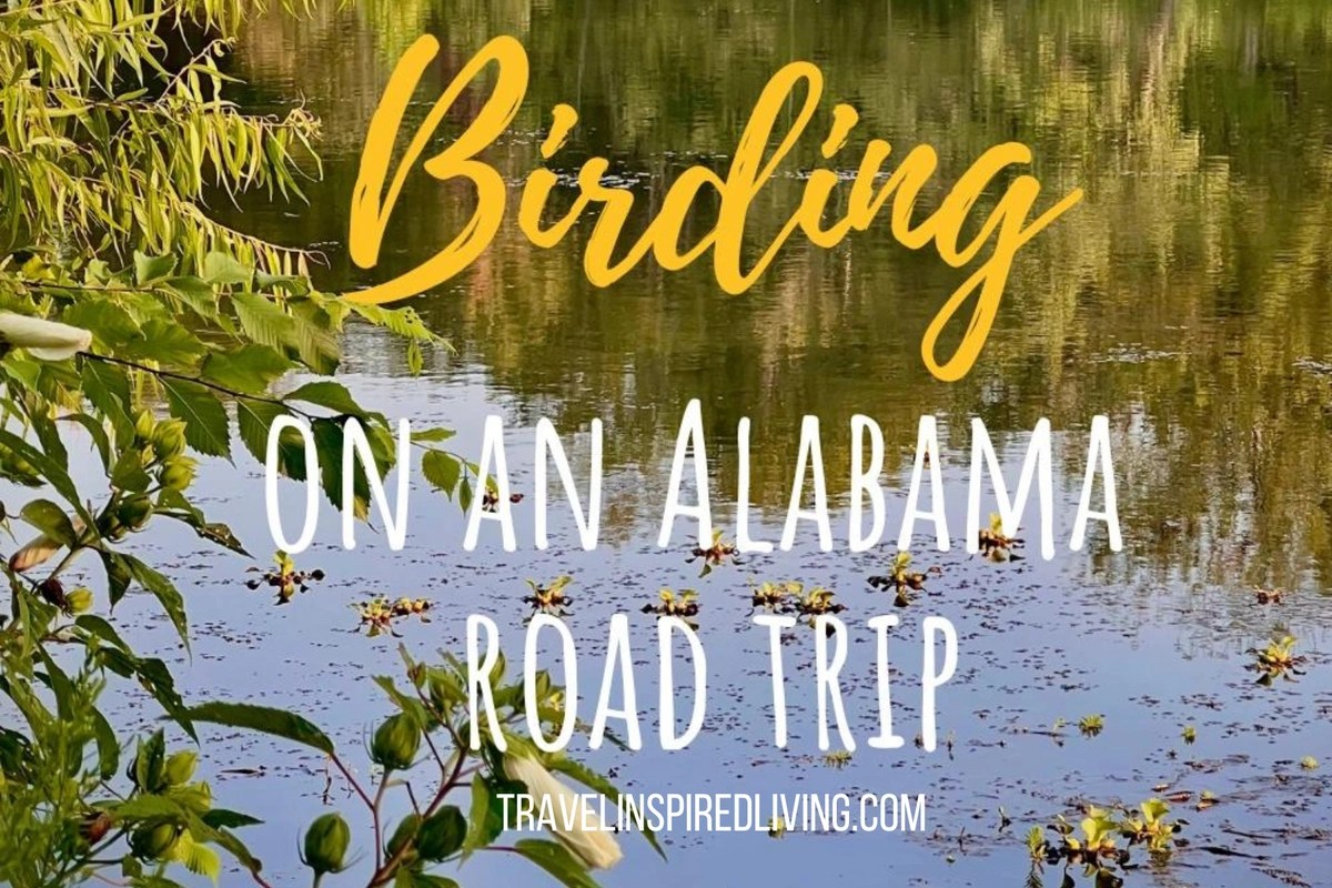 Outdoor Attractions in Alabama Alabama Travel