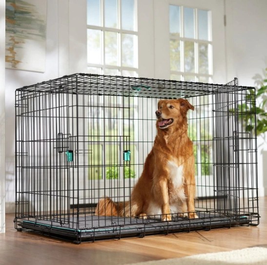 How to Choose the Best Dog Crate For Your Puppy