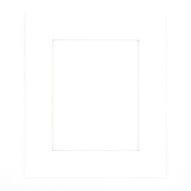 High Quality Custom Framing Materials Framebridge