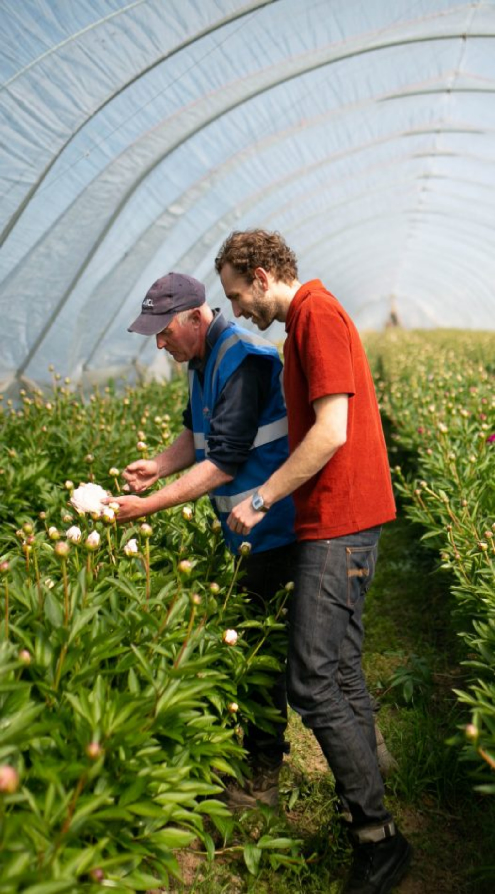 Fresh Flowers Subscription Service Freddie’s Flowers UK