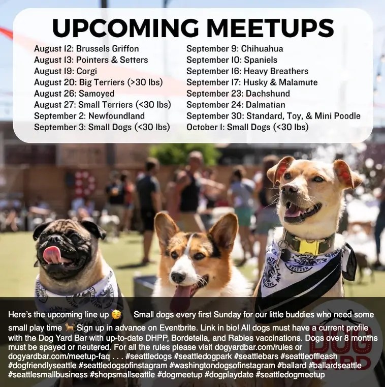 Why You Should Attend a Dog BreedSpecific Meetup