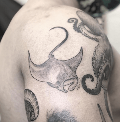 Everything You Wanted To Know About: Stingray Tattoos | Tattoos Wizard 426_x_421_jpg