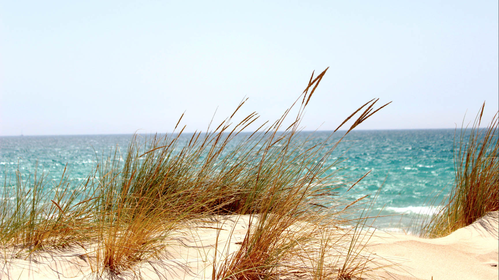 Guide to Texas and Austin Beaches Realty Austin