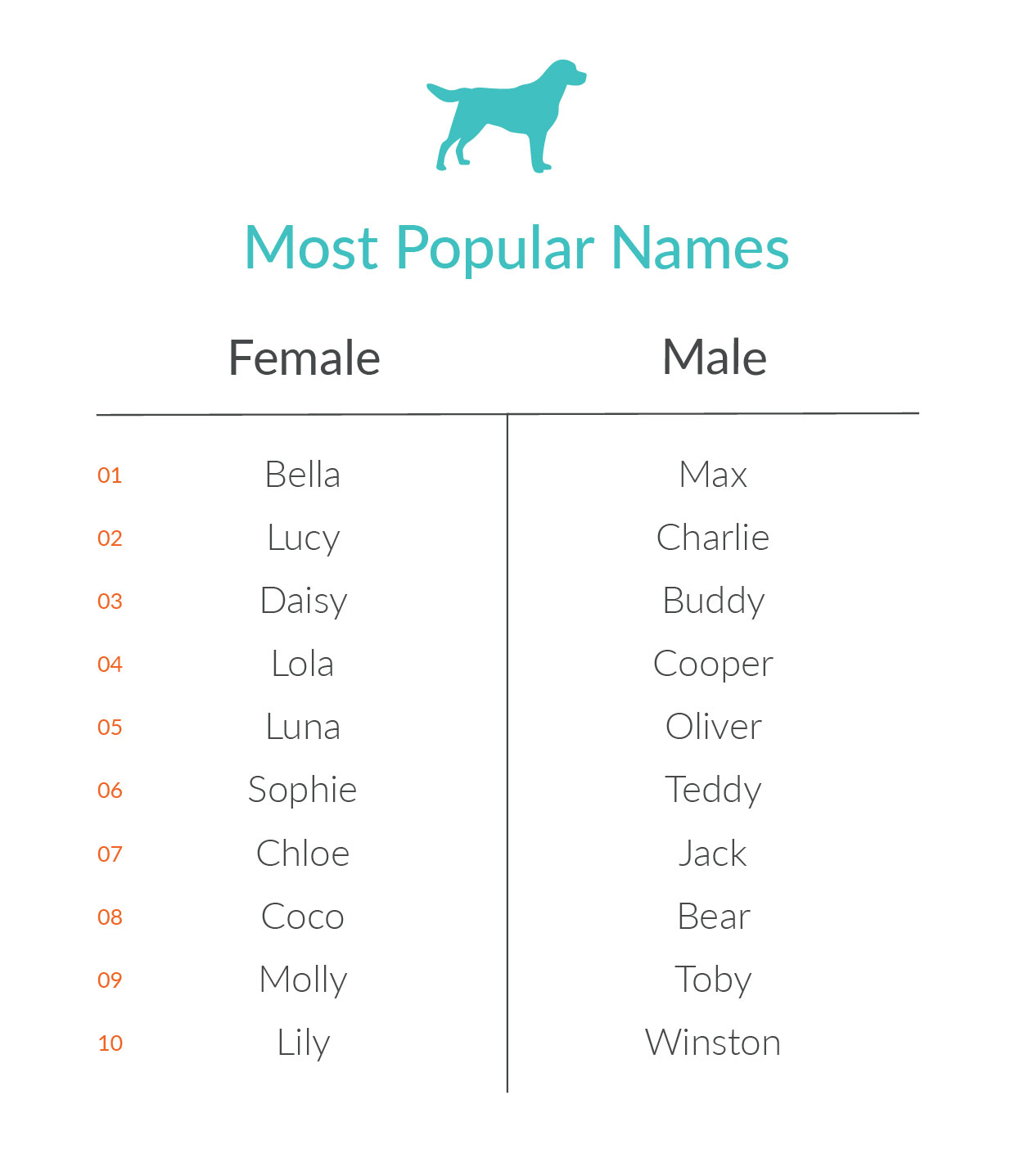 What Are the Most Common Pet Names? Nom Nom