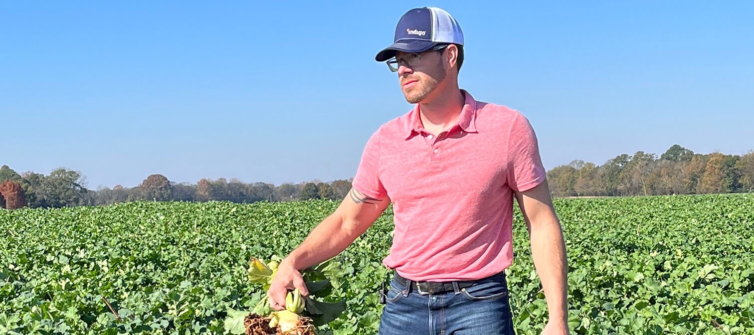 What equipment is needed to plant cover crops