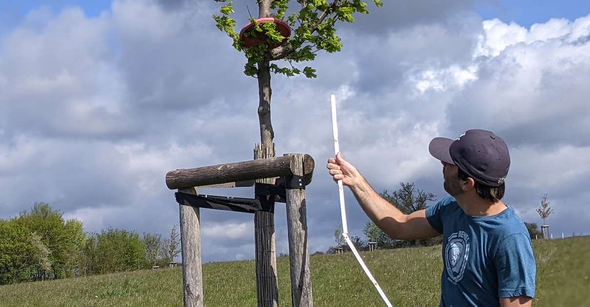 Disc Golf Rules Explained The TwoMeter Rule Release Point The