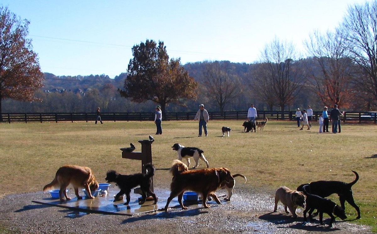 The 2 PetFriendliest Neighborhoods in Nashville