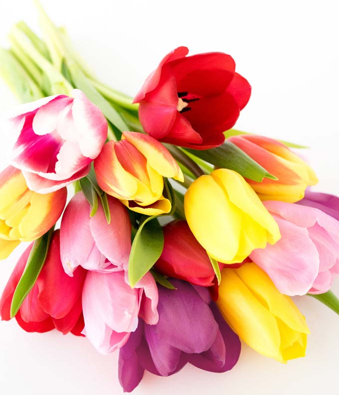 It’s Easy to Have Mother’s Day Tulips Delivered