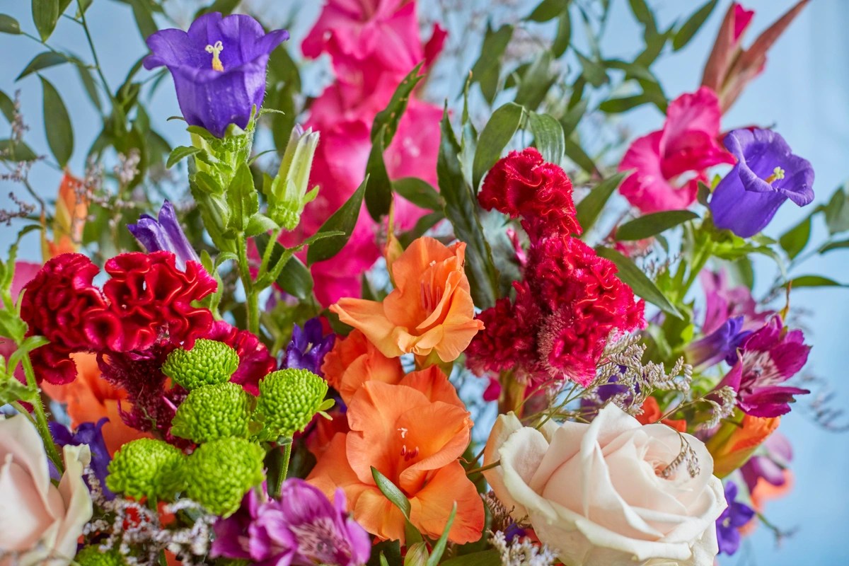 Fresh Flowers Subscription Service Freddie’s Flowers UK