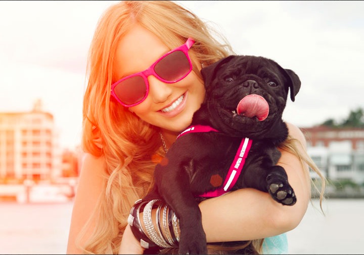 Find The Perfect No Fee Pet Friendly Apartments In NYC