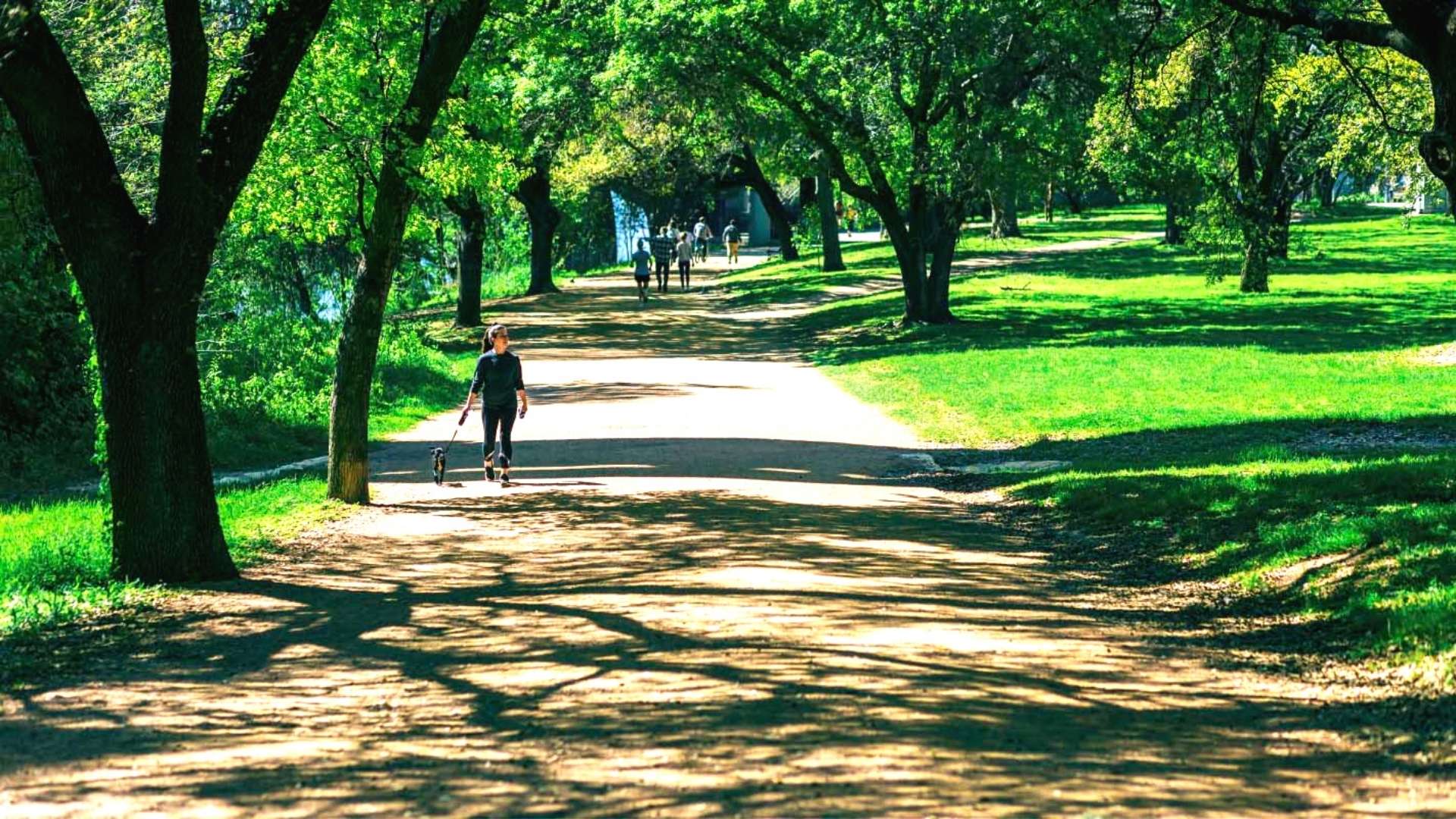 Outdoor Activities to Enjoy During Spring in Austin Realty Austin