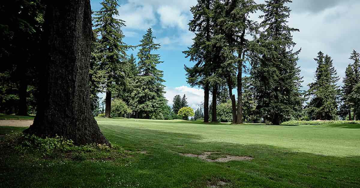 Disc Golf Tournament Profiles 2023 Portland Open Release Point The UDisc Blog